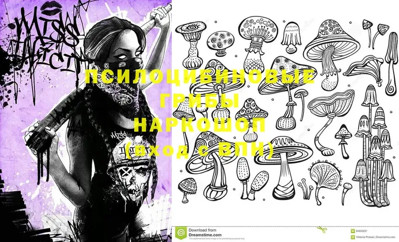 Галлюциногенные грибы Magic Shrooms  кракен зеркало  Курск 